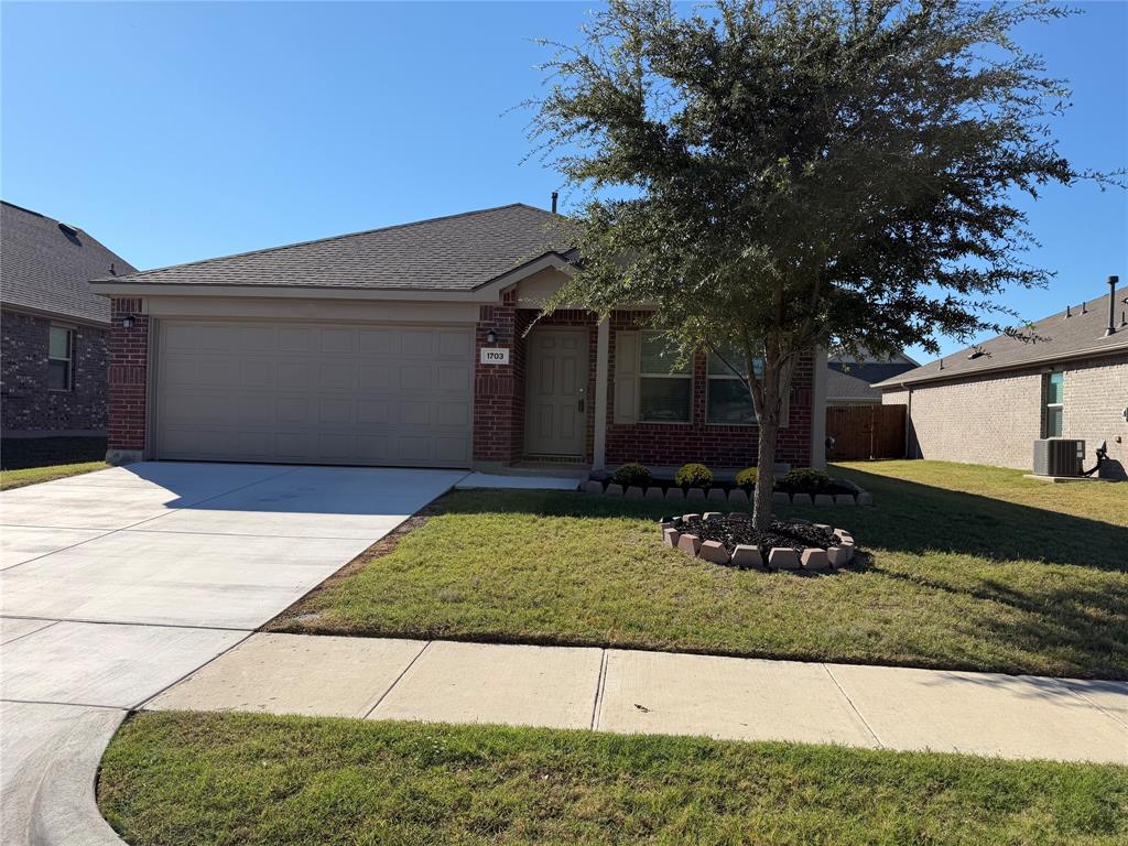 1703 Stonefield Drive, Anna, TX 75409