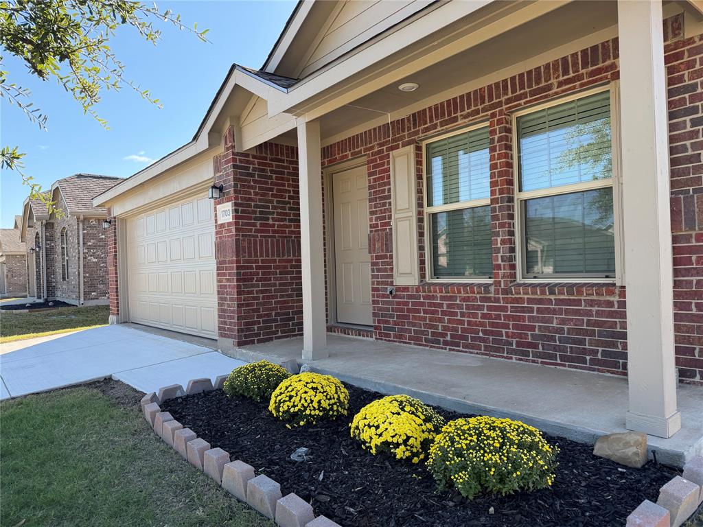 1703 Stonefield Drive, Anna, TX 75409 1703 Stonefield Drive, Anna, TX 75409