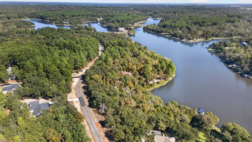 Aerial perspective featuring extensive lake frontage, mature tree canopy, and paved roadway