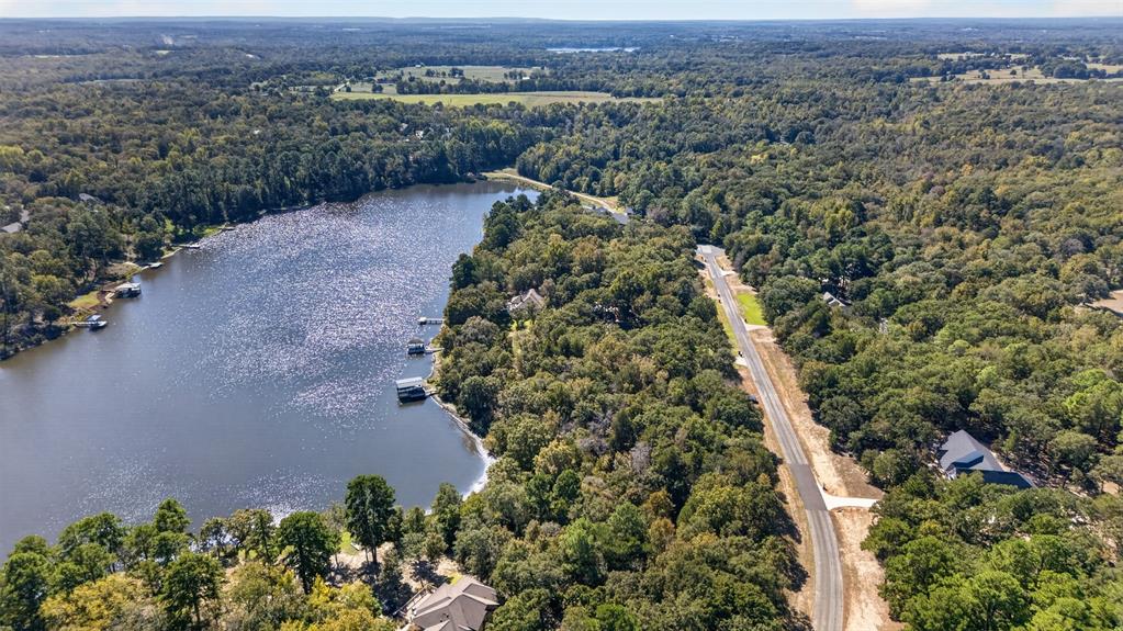 Aerial perspective featuring expansive wooded acreage, direct lake frontage, and private boat docks
