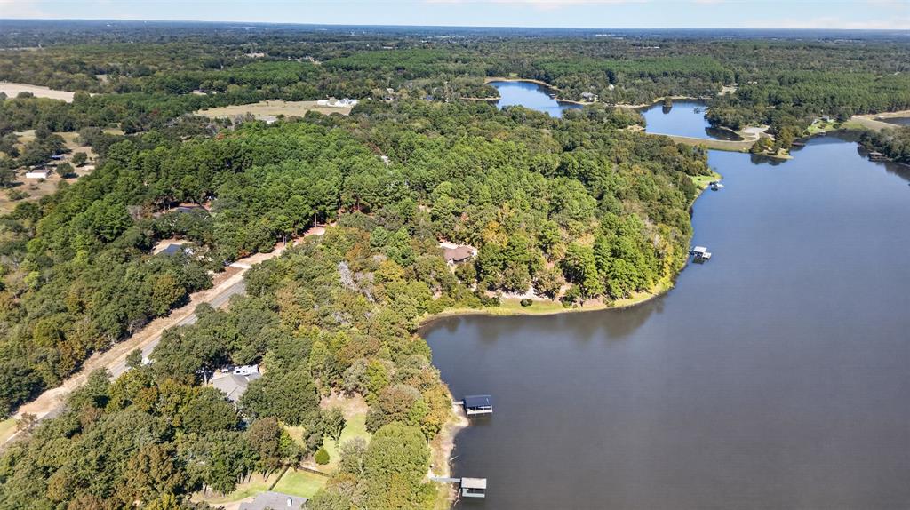 Aerial landscape featuring extensive wooded acreage, natural waterfront shoreline, and private dock structures Aerial landscape featuring extensive wooded acreage, natural waterfront shoreline, and private dock structures