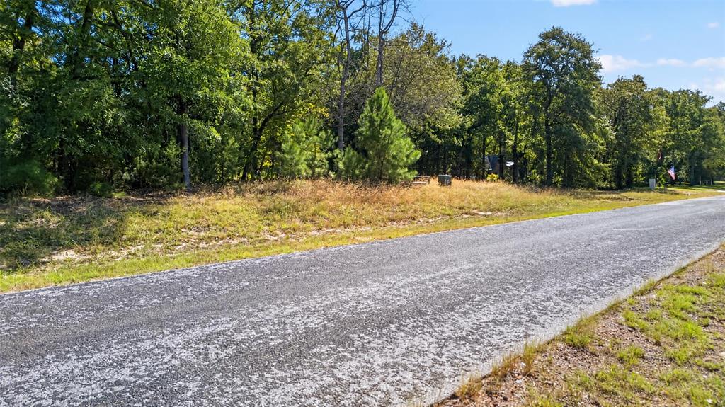 Vacant lot featuring paved road frontage and a heavily wooded perimeter with mature trees
