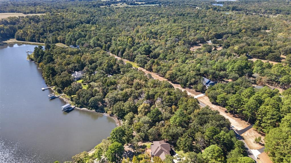Aerial perspective featuring mature tree canopy, shoreline frontage, and private boat docks