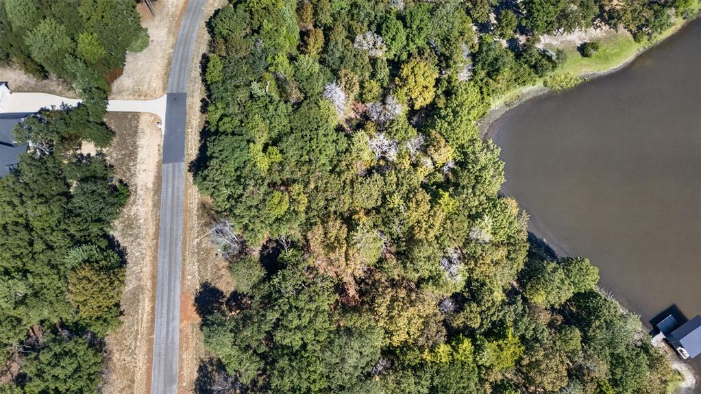 Aerial perspective featuring a wooded lot with direct water frontage and a paved roadway