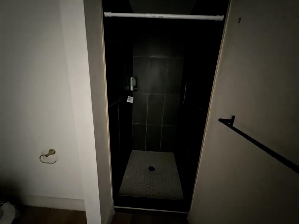 Downstairs walk-in shower
