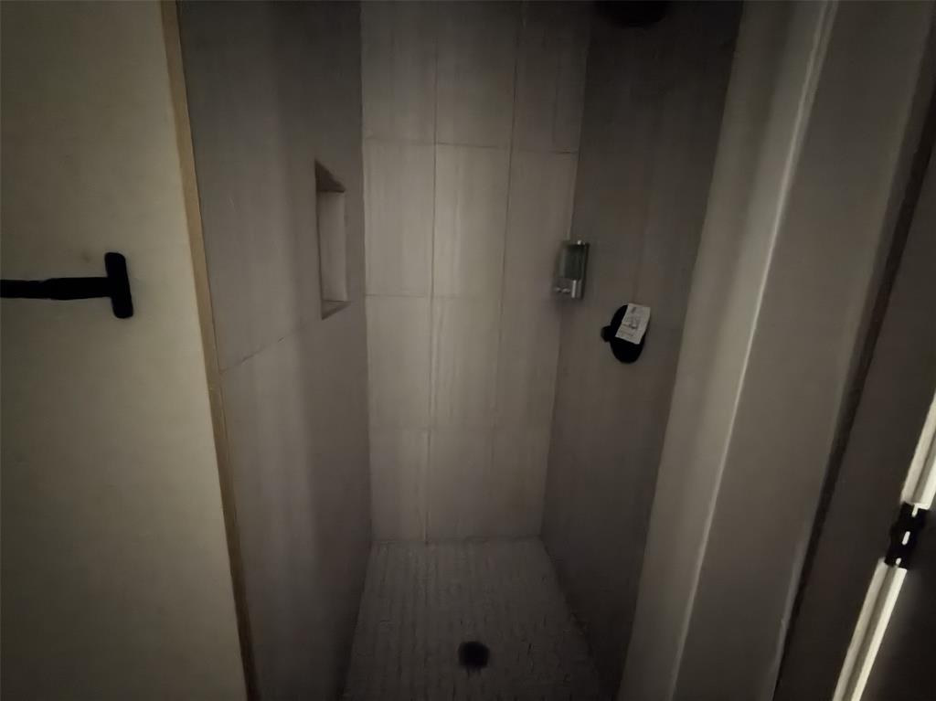 Downstairs walk-in shower