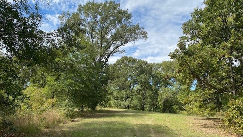 TR 9A1 & 9C FM 2709, Eustace, TX 75124