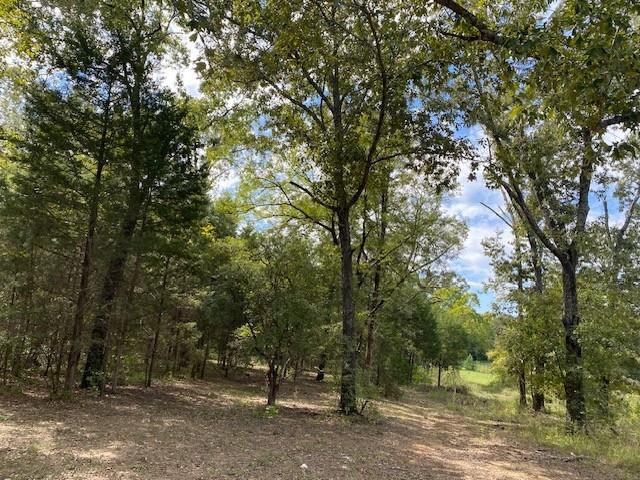 TR 9A1 & 9C FM 2709, Eustace, TX 75124