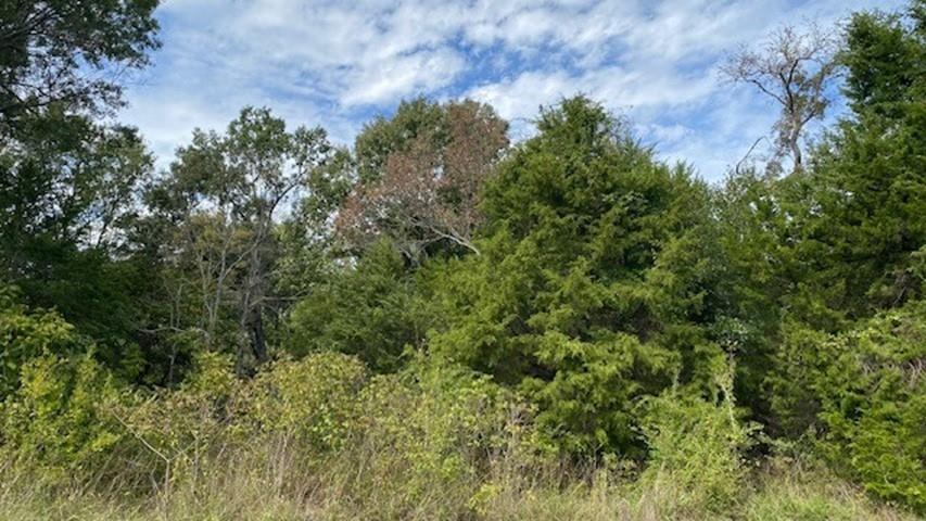 TR 9A1 & 9C FM 2709, Eustace, TX 75124