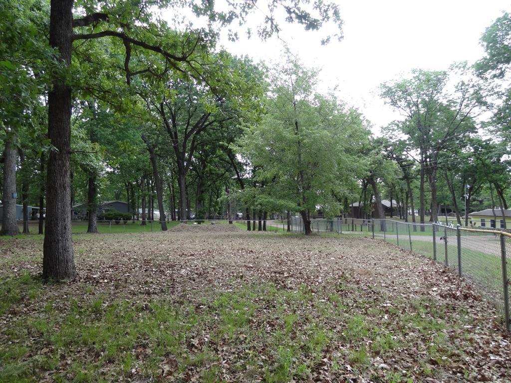 119 Oak Street, Mabank, TX 75156
