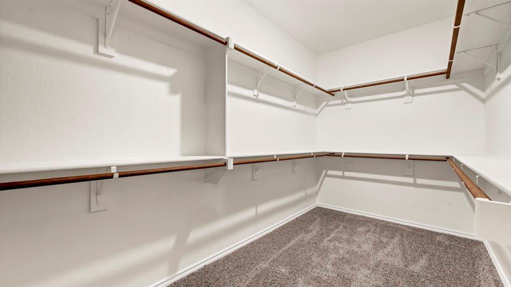 Expansive walk-in closet featuring white built-in shelving, wood-finish rods, and grey carpet flooring