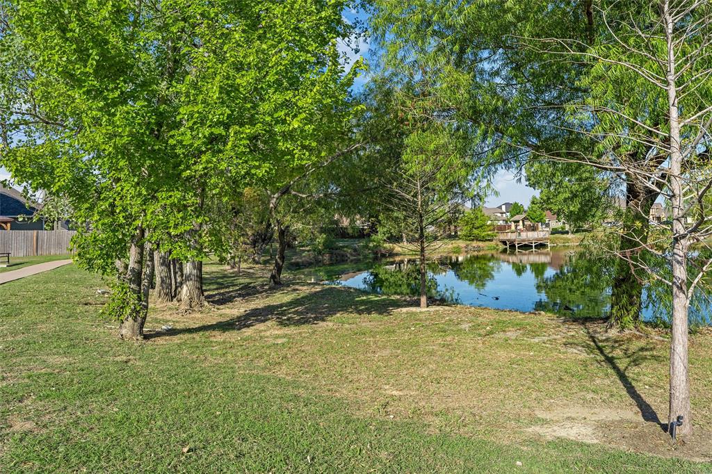 Neighborhood pond