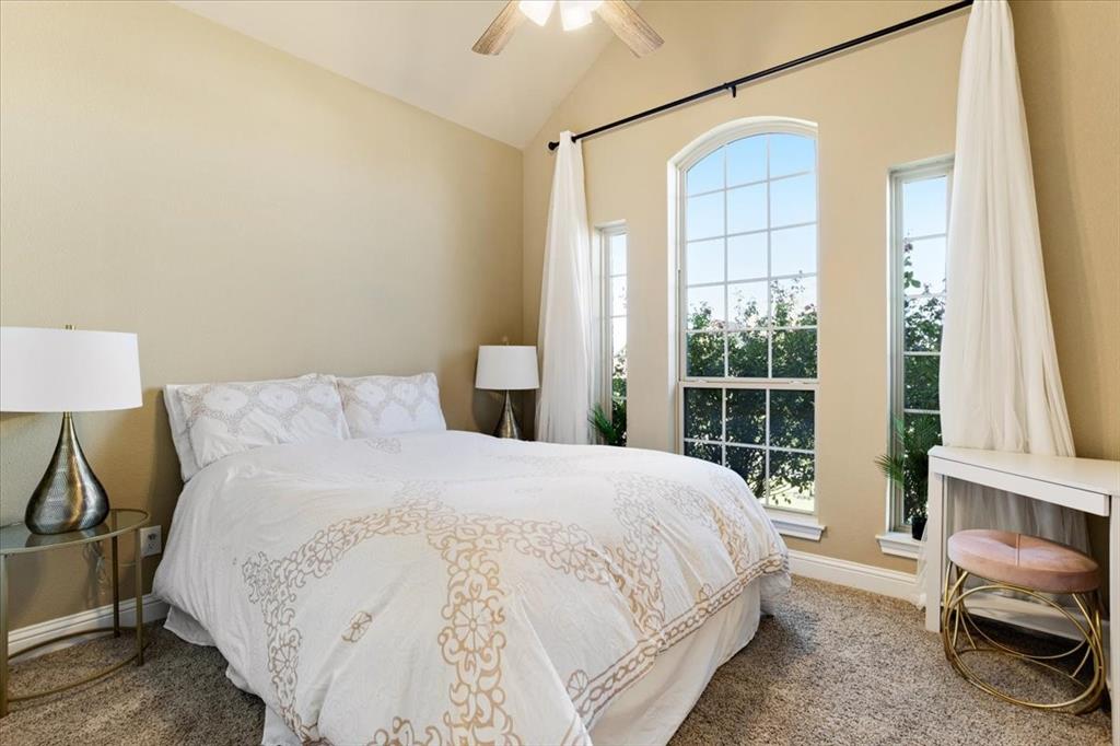 Vaulted ceiling featuring a central lighted ceiling fan, expansive triple-pane windows with arched detailing, and plush carpeting