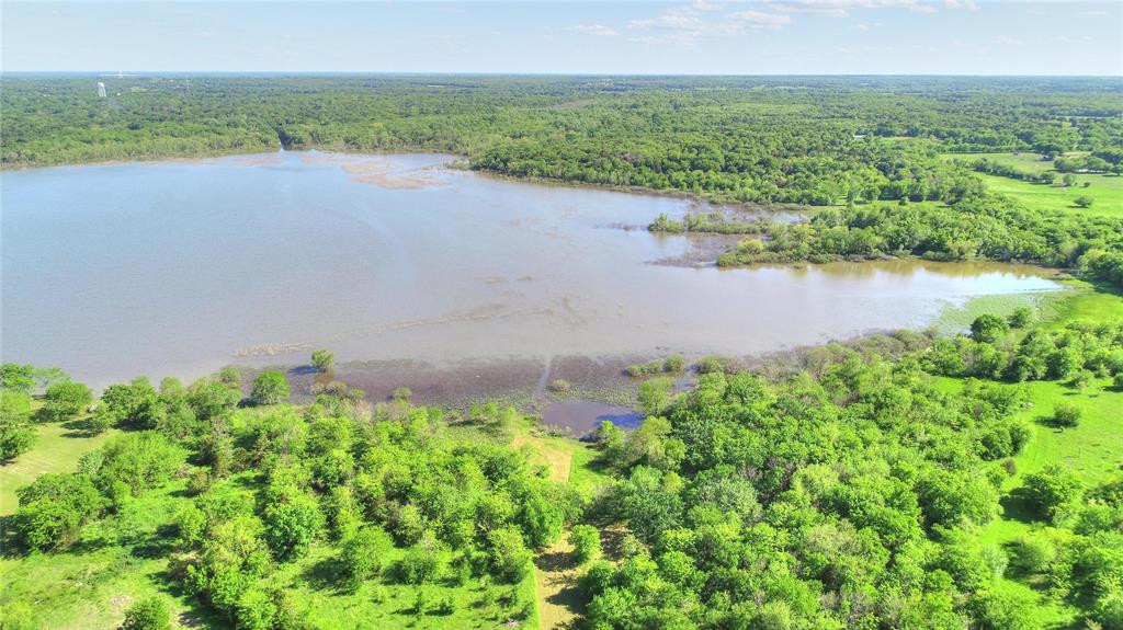 Aerial view of a forest and a nearby body of water