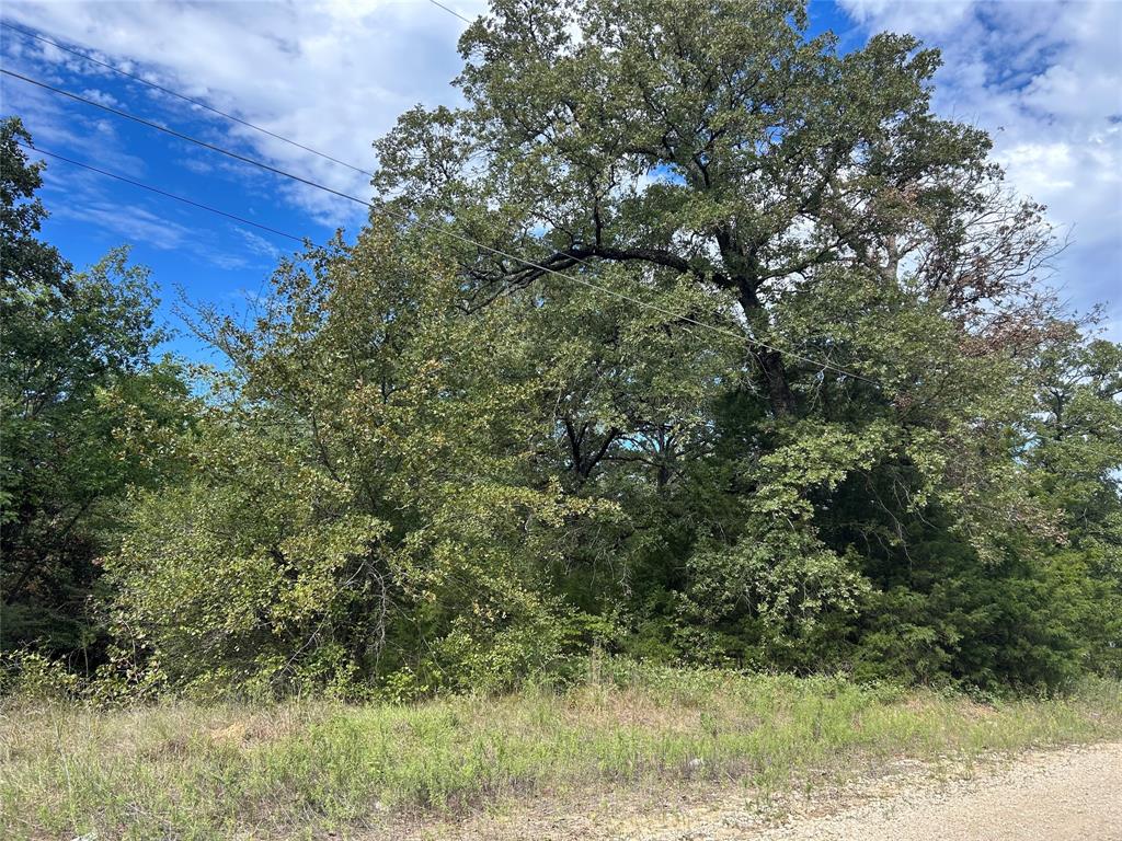 0 Zuni, Mabank, TX 75156