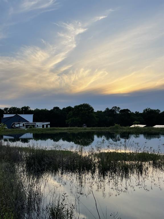 Property featuring a private pond, expansive grounds, mature trees, and a distant metal-sided structure