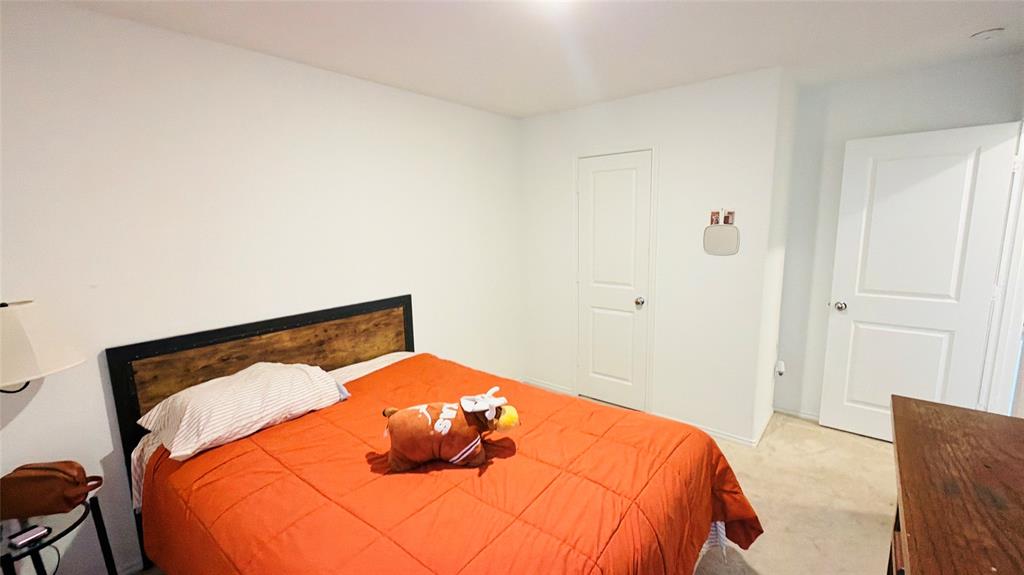 Room featuring neutral-toned walls, carpeting, and two interior doors with panel detailing