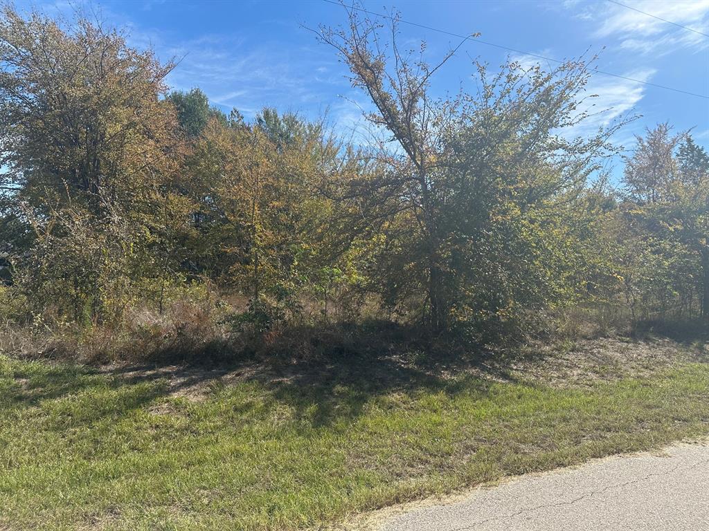 1627 Luzon Street, Tool, TX 75143 1627 Luzon Street, Tool, TX 75143