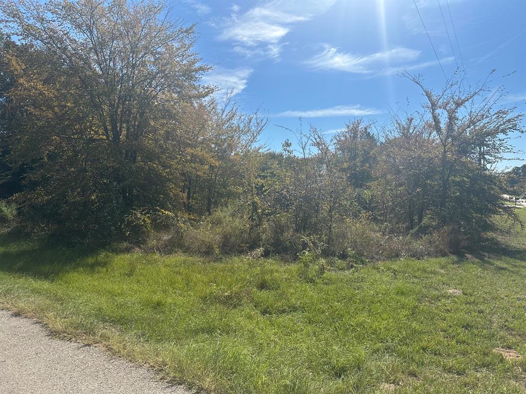 1627 Luzon Street, Tool, TX 75143