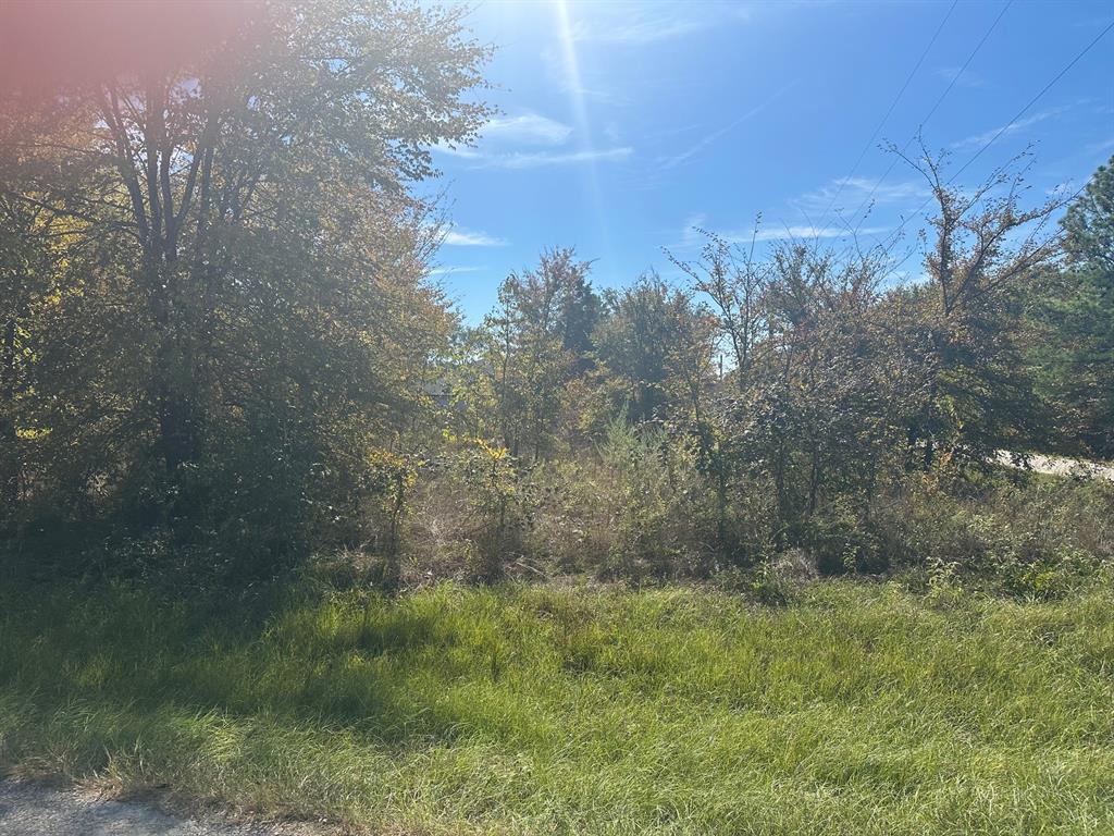 1627 Luzon Street, Tool, TX 75143