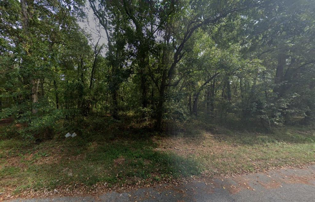 TBD Southshore Drive, Houston, TX 77338