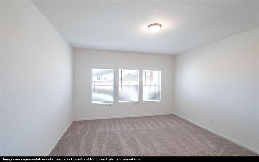 Master bedroom with neutral wall-to-wall carpeting, crisp white walls, and triple windows featuring horizontal blinds with a ceiling-mounted light fixture