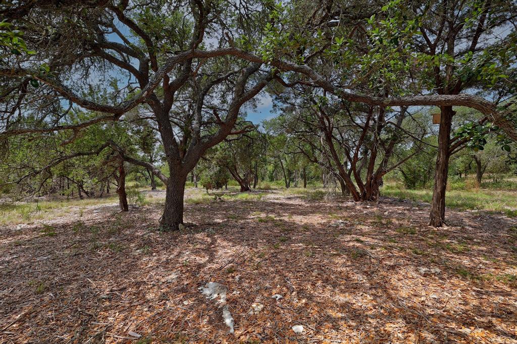 1400 Panther Creek Road, Driftwood, TX 78619