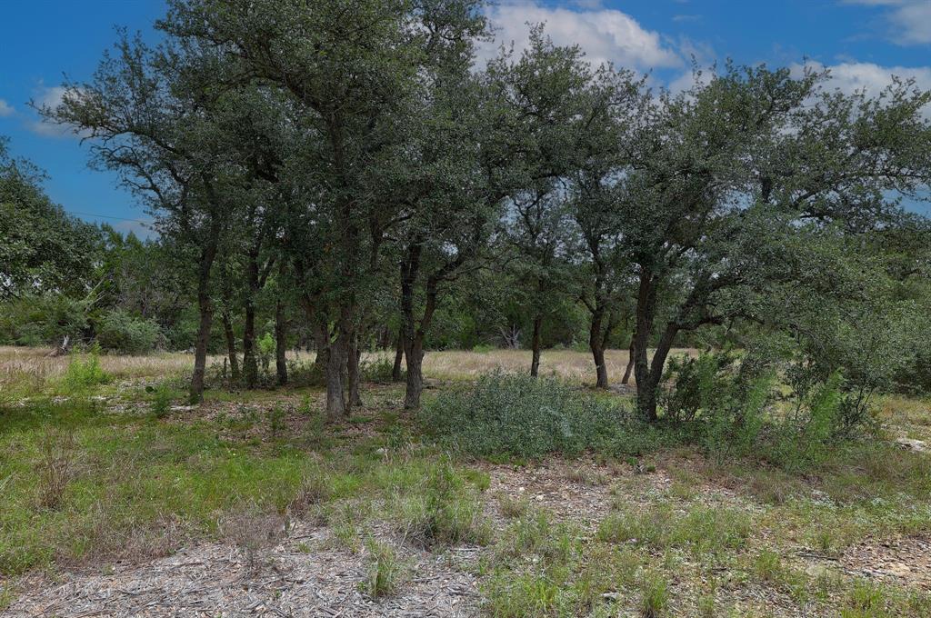 1400 Panther Creek Road, Driftwood, TX 78619