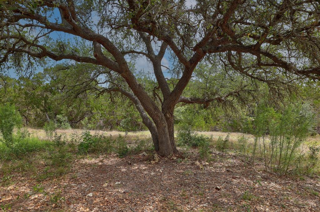 1400 Panther Creek Road, Driftwood, TX 78619