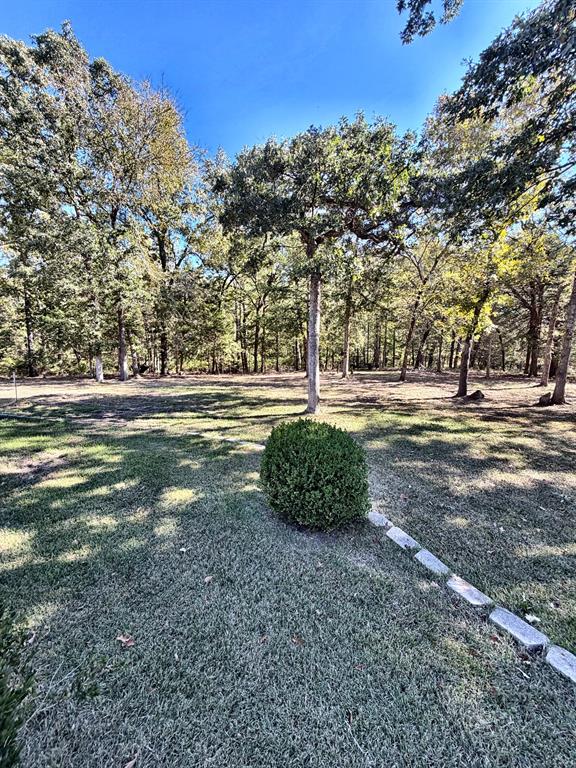 Expansive grounds featuring a manicured lawn, established shade trees, a structured shrub, and stone landscape edging