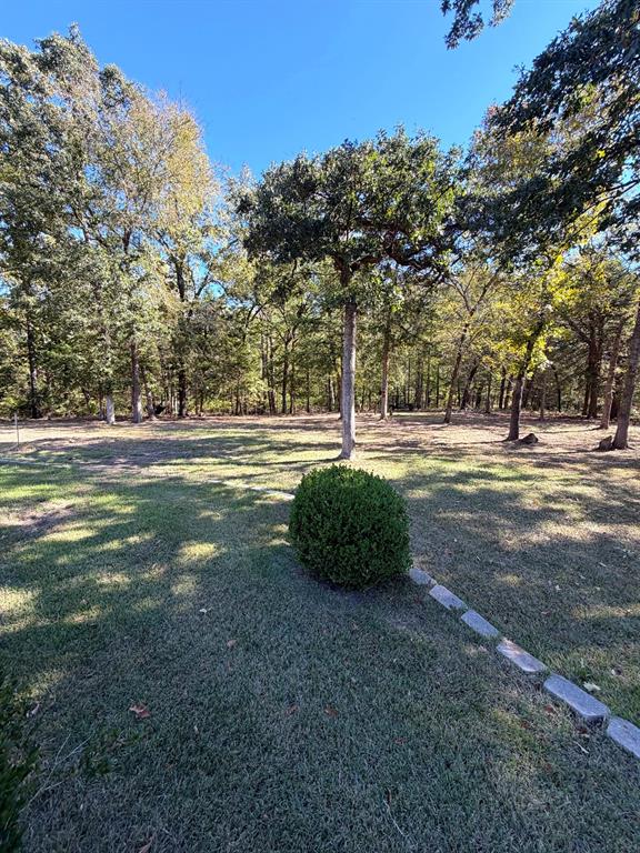 Expansive yard featuring mature trees, manicured lawn, established shrubbery, and stone landscape edging