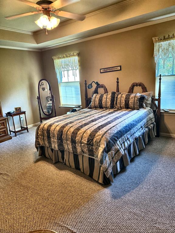 Tray ceiling featuring a central multi-blade ceiling fan with integrated lighting