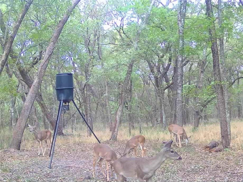 7292 County Road 1048, Celeste, TX 75423