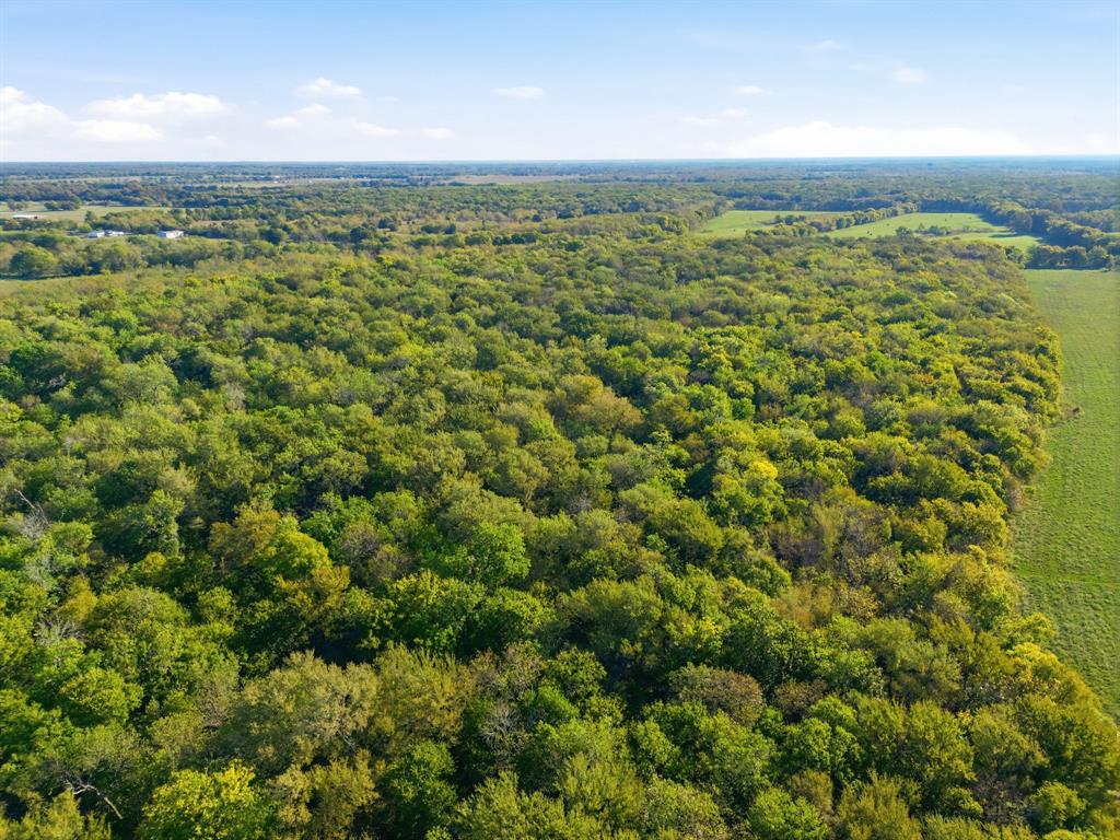 7292 County Road 1048, Celeste, TX 75423