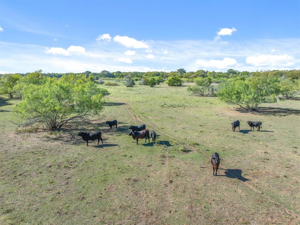15993 County Road 4059, Kemp, TX 75143