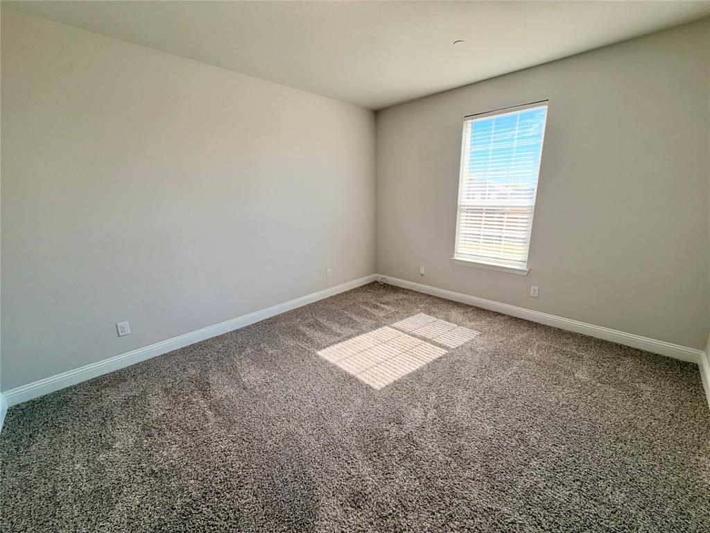 Neutral wall tones, plush wall-to-wall carpeting, and a single-hung window featuring horizontal blinds