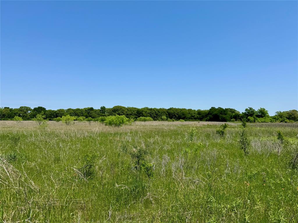 0 Clater Powell Road, Gholson, TX 76705 0 Clater Powell Road, Gholson, TX 76705