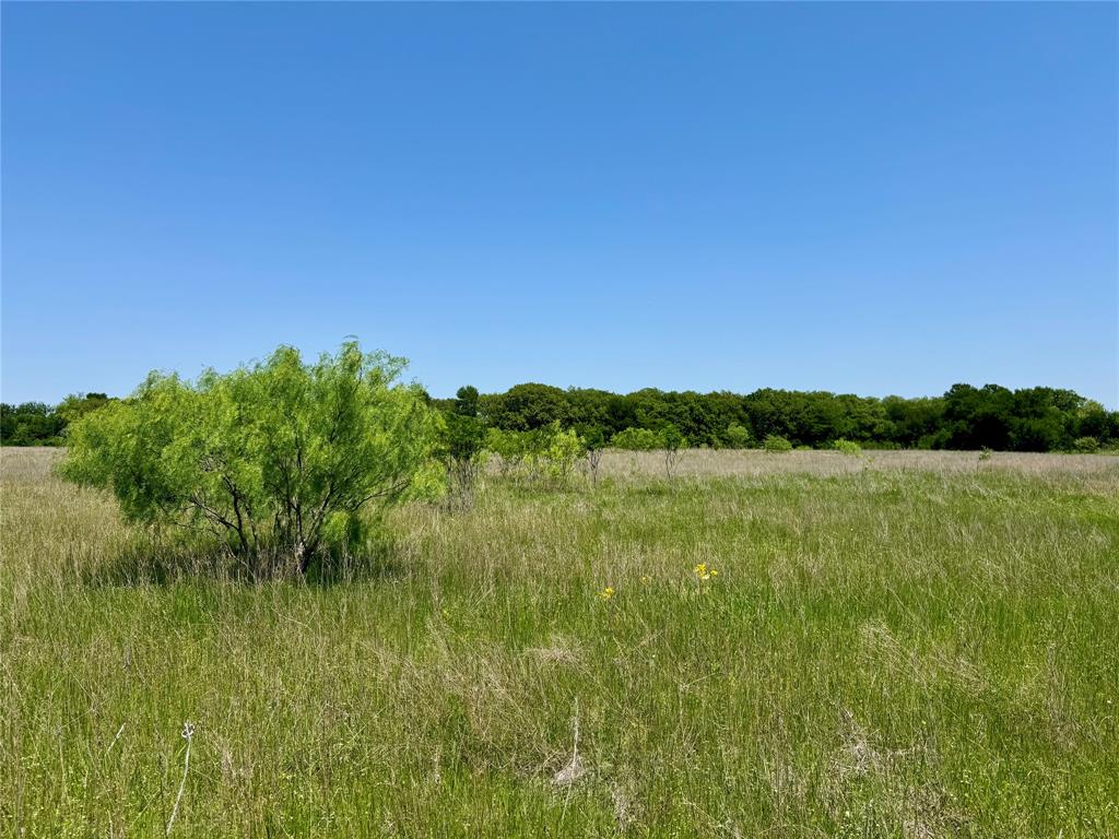0 Clater Powell Road, Gholson, TX 76705 0 Clater Powell Road, Gholson, TX 76705