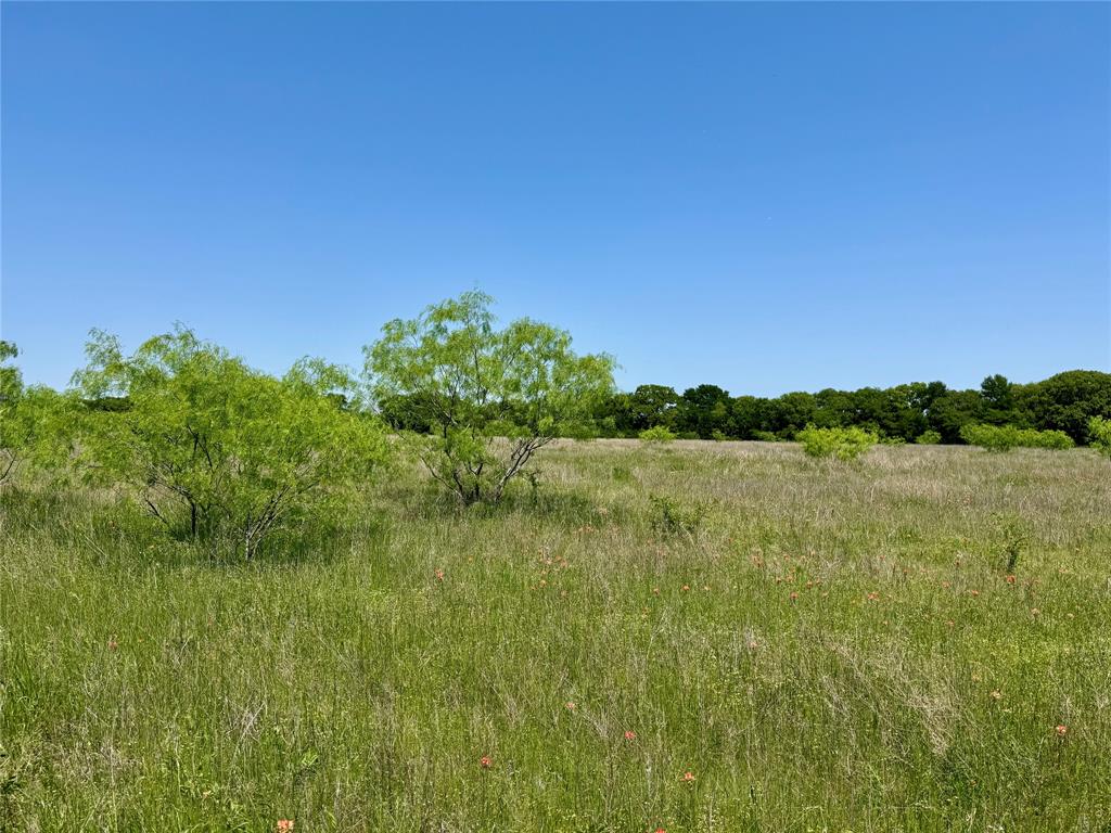0 Clater Powell Road, Gholson, TX 76705 0 Clater Powell Road, Gholson, TX 76705