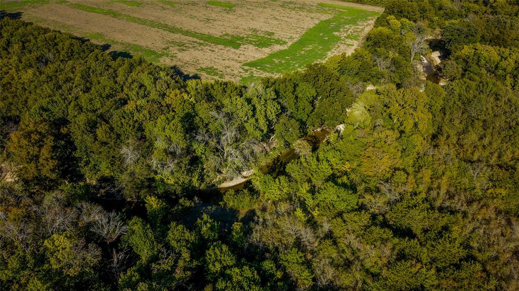 Creek at back of property