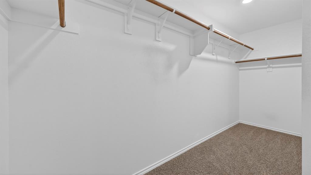 Spacious walk-in closet featuring white walls, baseboards, and textured carpet