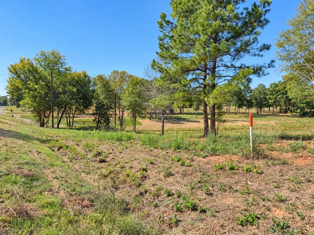 15997 FM 2015, Winona, TX 75792