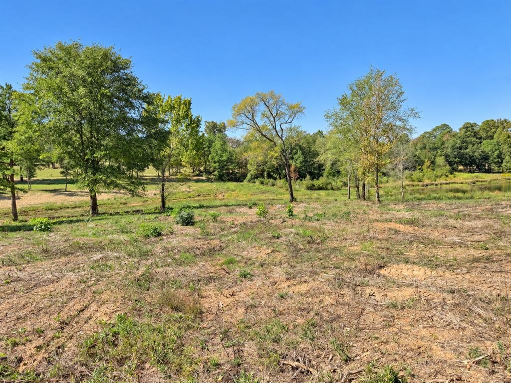 15997 FM 2015, Winona, TX 75792
