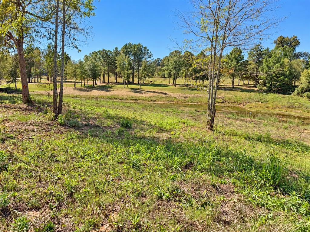 15997 FM 2015, Winona, TX 75792