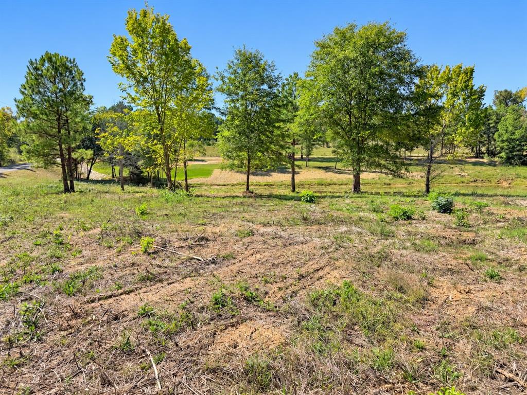 15997 FM 2015, Winona, TX 75792