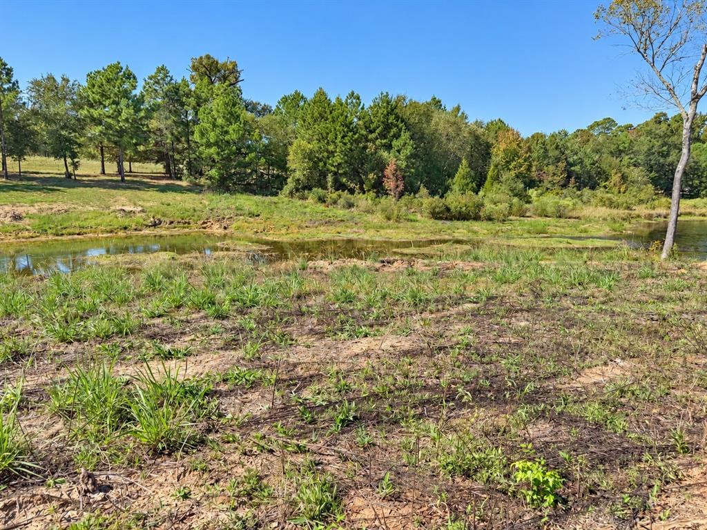 15997 FM 2015, Winona, TX 75792