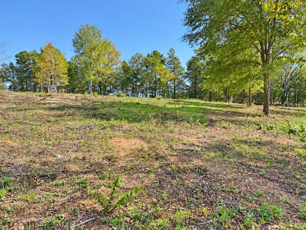 15997 FM 2015, Winona, TX 75792