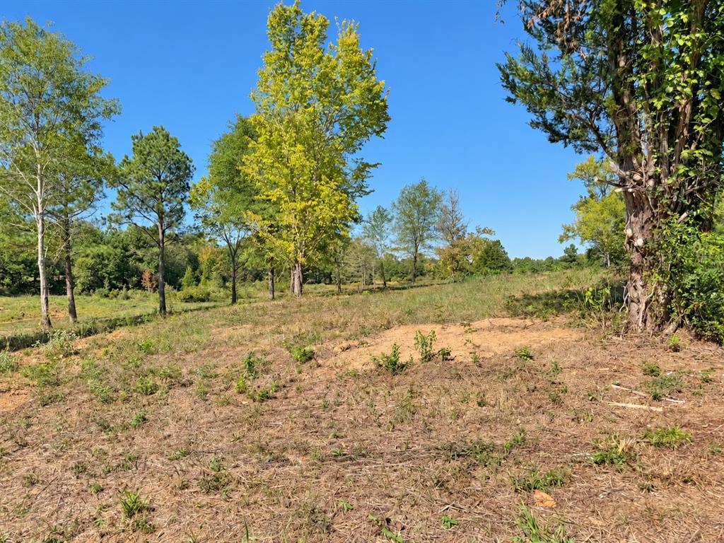 15997 FM 2015, Winona, TX 75792