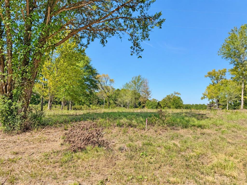 15997 FM 2015, Winona, TX 75792