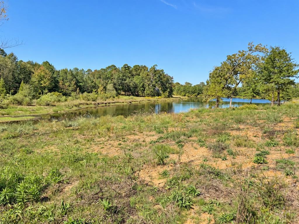 15997 FM 2015, Winona, TX 75792